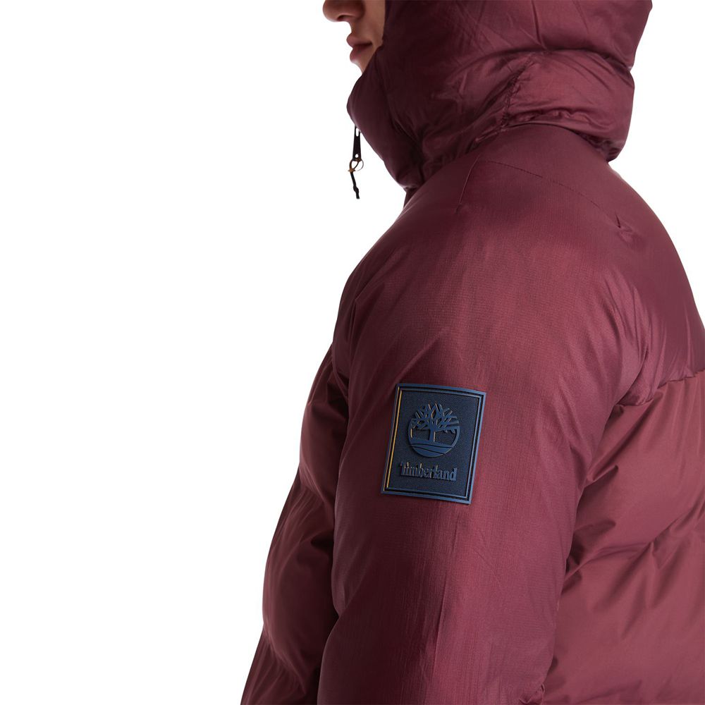 Geaca Timberland Barbati Visinii - Neo Summit Hooded Iarna - Romania - GOURIP974